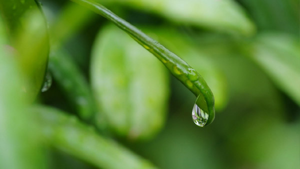 山東元琿環(huán)保科技有限公司網(wǎng)站全新改版